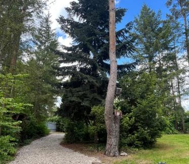 Milmersdorf Haus | Ferienhaus Reetdach 1300qm Privatgrundstück Bootssteg Sauna Templin Lübbesee Uckermark Erholung pur Seenplatte