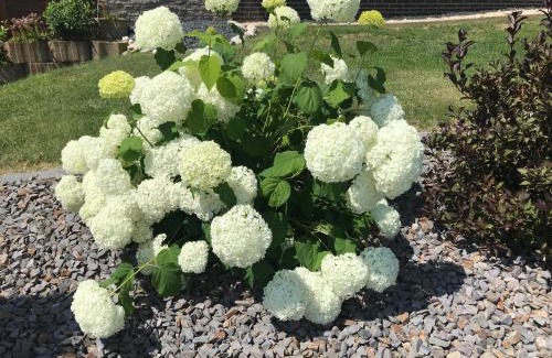 Lieg Haus | Ferienhaus Weins