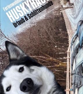 Klaffer am Hochficht Wohnung | Ferienwohnung Huskyhausen - Schlittenhunde Erlebnisse & Urlaub mitten in der Natur!