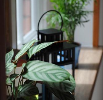 Niederzimmern Wohnung | Ferienwohnung An der Gramme