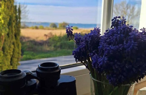 Dranske Wohnung | Ferienwohnung Boddenblick, Dranske, Insel Rügen