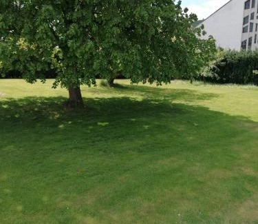 Reinhardshausen Wohnung | FEWO-ATLANTA Reinhardshausen