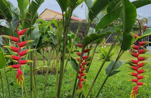 Luna Park Haus | Finca Campestre Cafetera en Circasia Quindio