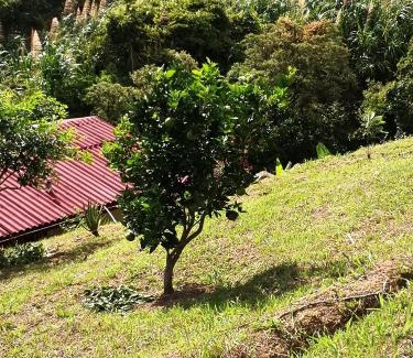 Guaduas Sonstige | Finca el Okaso