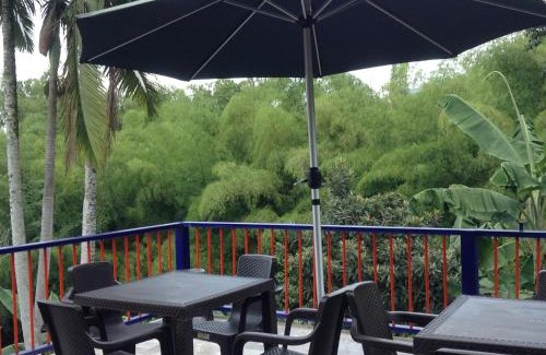 Pereira Haus | Finca El Sueño De Mi Abuelo