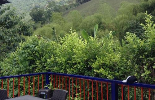 Pereira Haus | Finca El Sueño De Mi Abuelo