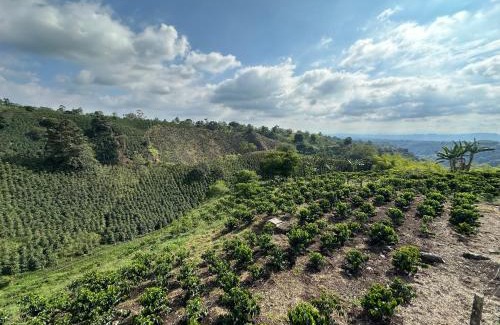 Circasia Haus | Finca Jamaica
