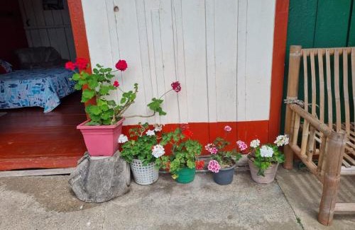 Falan Haus | Finca La Carolina