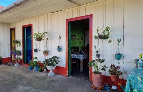 Falan Haus | Finca La Carolina