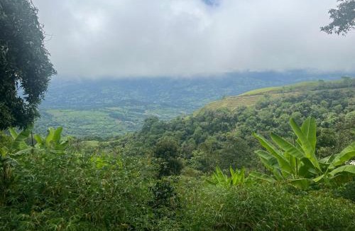 Fredonia Haus | Finca La Tabaiba