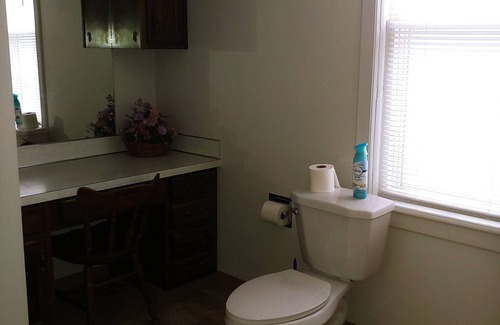 Owosso Haus | Fins Inn Apt A