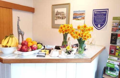 Palmerston North Hotel | Fitzherbert Castle Motel