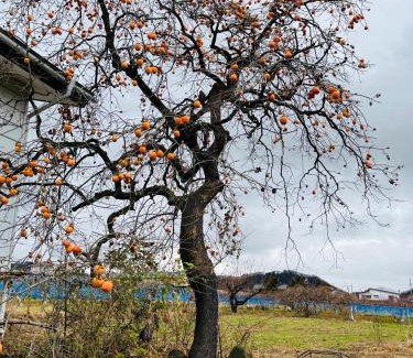 Takayama-mura Wohnung | Five Peaks Yudanaka