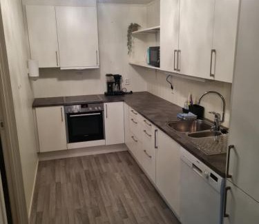 Sogndal Wohnung | Fjærland Våteviksvegen 17