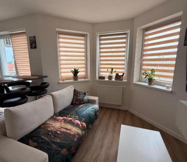 Dunajska Streda Wohnung | Flamingo Apartment