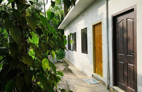 Chithirapuram Haus | Geschmack & Entspannungsaufenthalt / Gewürzplantage / Munnar