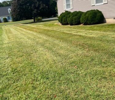 Maplewood Haus | Flip Flop Drop - Rehoboth Beach - Community Pool!