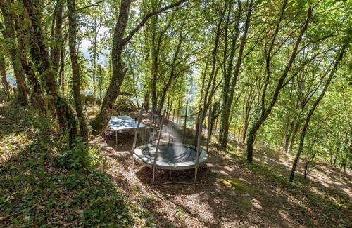 Covas Haus | Forest House Casinha do Carvalhal