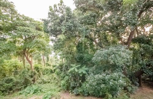 Morong Wohnung | FOREST Nest with Self-Service Breakfast - Birds, Monkeys, Pet Friendly with a Fee