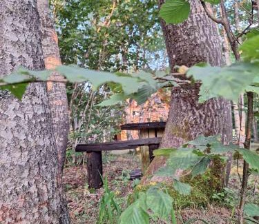 Savnik Haus | Forest Rhapsody Brezna