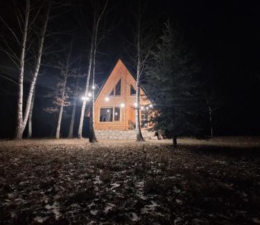 Savnik Haus | Forest Rhapsody Brezna