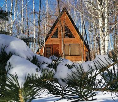 Savnik Haus | Forest Rhapsody Brezna