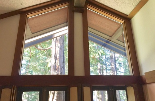 Tahoe Tavern Haus | Forest View - 10 Minutes to Palisades Tahoe & Walk to Town!