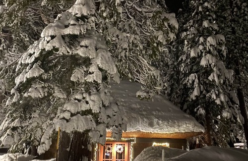 Tahoe Tavern Haus | Forest View - 10 Minutes to Palisades Tahoe & Walk to Town!