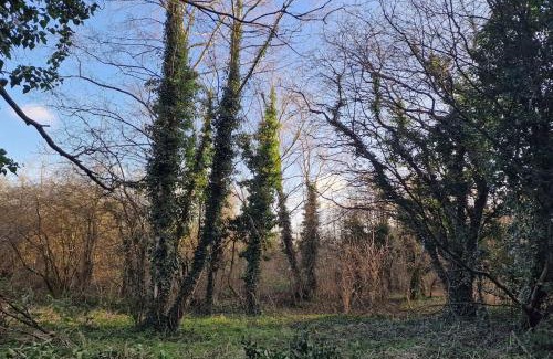 Newark upon Trent Wohnung | Forest view cottage