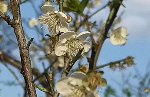 Fuxing District Haus | Forgather B&B