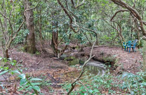 Sautee Nacoochee Haus | Four Cubs in the Creek
