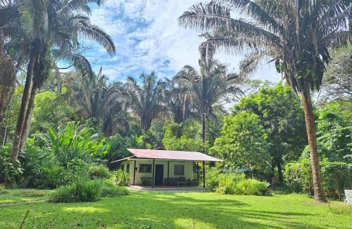 Puerto Jimenez Haus | Four Monkeys Eco Lodge Jungle & Beach - The House