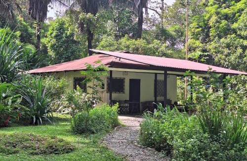 Puerto Jimenez Haus | Four Monkeys Eco Lodge Jungle & Beach - The House