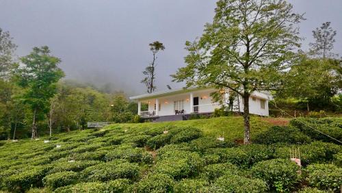 Pirmed Haus | Four Winds Plantation Homestay Approved by Dept of Tourism Govt of Kerala