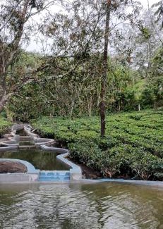 Pirmed Haus | Four Winds Plantation Homestay Approved by Dept of Tourism Govt of Kerala