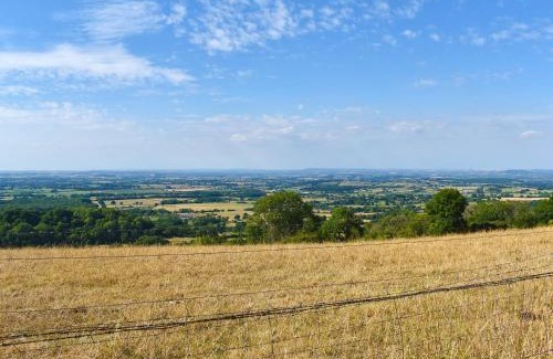 Ibberton Haus | Foxglove