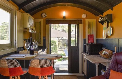 Ibberton Haus | Foxglove