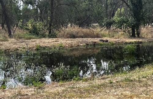 Rio Linda Hütte | French country home on 10 acres, near Int. airport