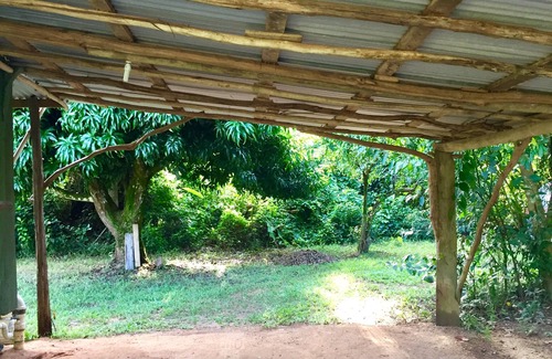 Hopkins Kabine | Freshwater Creek Cabin, Natur und Vogelbeobachtung direkt von Ihrer Veranda.
