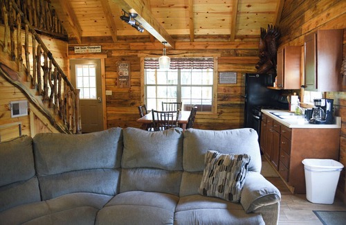 Leeper Kabine | Friendly Bear Log Cabin near Cook Forest State Park