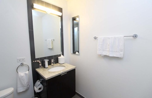 East Hyde Park Wohnung | FRONTDESK 1 BR Apt near University of Chicago