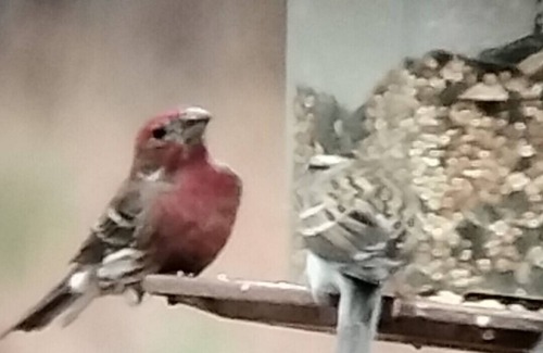 Ashland Wohnmobilvermietung | Full Hookup RV site-Pet Friendly! Big Foot Trail at Hairy Hiker Woods