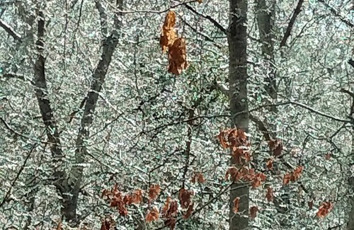 Ashland Wohnmobilvermietung | Full Hookup RV site-Pet Friendly! Big Foot Trail at Hairy Hiker Woods