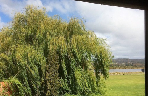 Franklin Wohnung | Funky Flat in Franklin....Self Contained accommodation on the Huon River.
