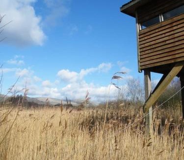 Eglwys-fach Haus | Furnace Cottage