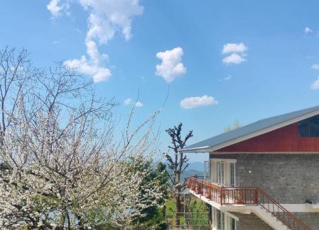Bir Wohnung | Fursatghar Aangan Studio Apartment