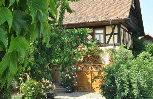 Breuberg Wohnung | Gästezimmer - Fuhrhalterei Maul