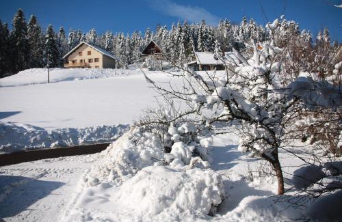 Les Piards Haus | Gîte comme à la maison -12 pers- La Cabiote