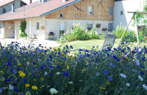 Mignovillard Haus | Gîte de la sauge