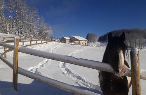 Lamoura Haus | Gîte des 3 Marches